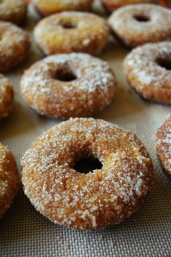 Cinnamon Sugar Pumpkin Spiced Baked Doughnuts2